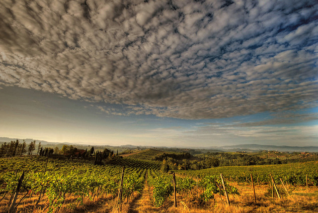 Chianti italie paysage toscane vignes