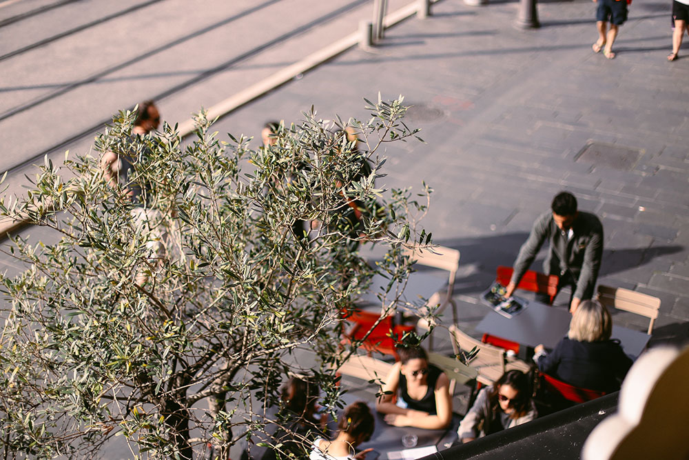 paneolio nice terrasse