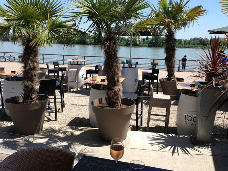 ibaia cafe terrasse bordeaux