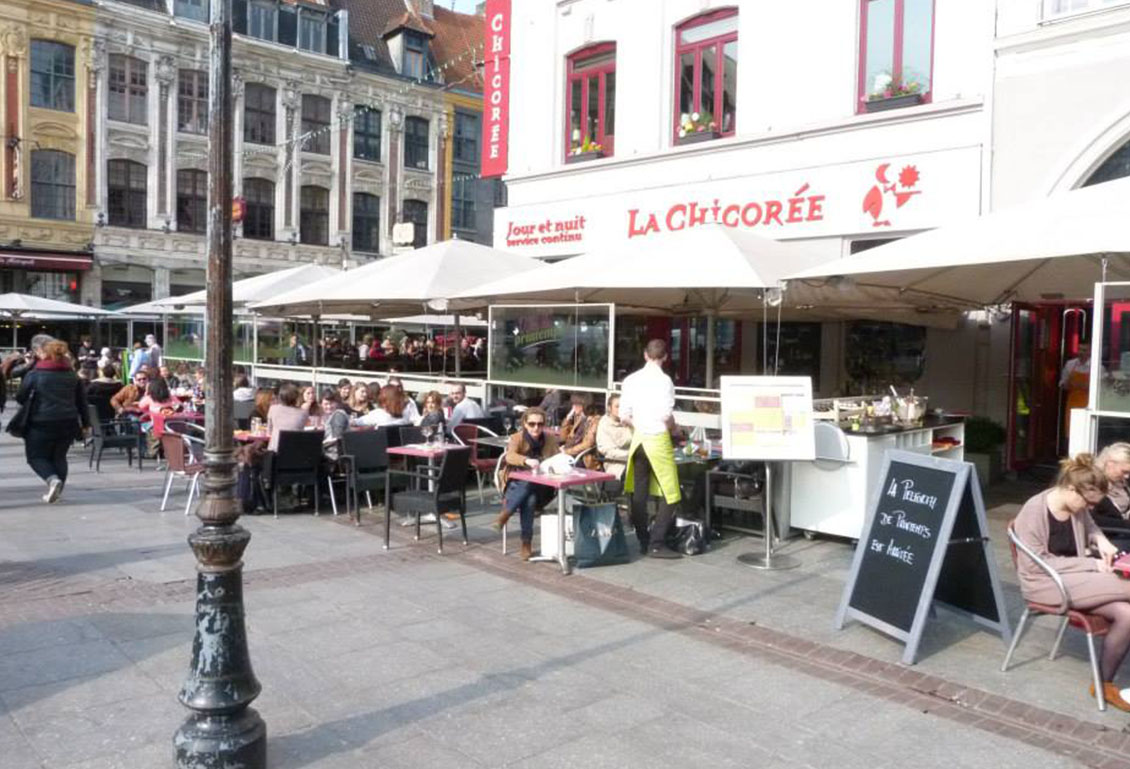 chicorée terrasse lille