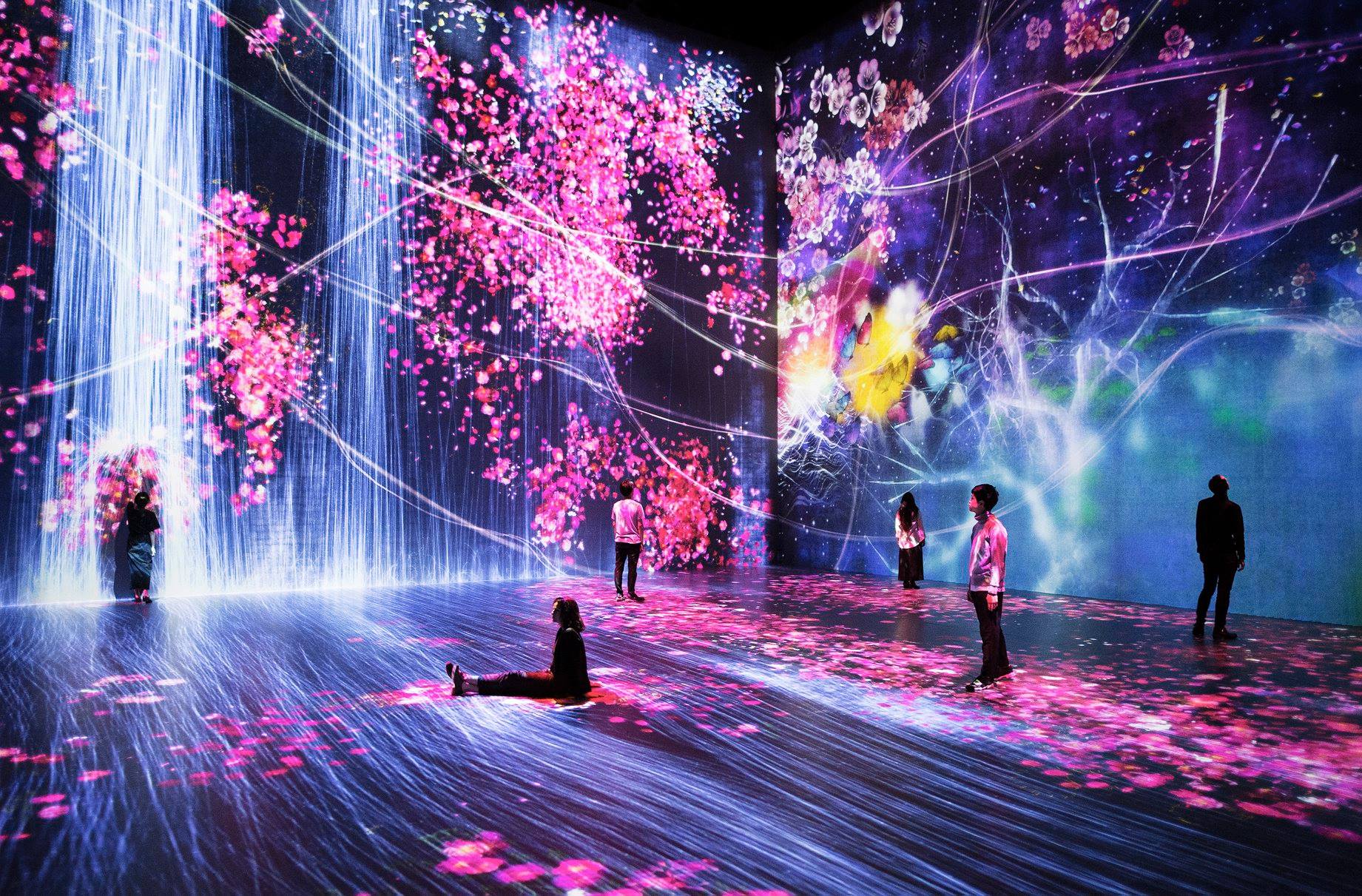 TeamLab exposition paris halle la villette